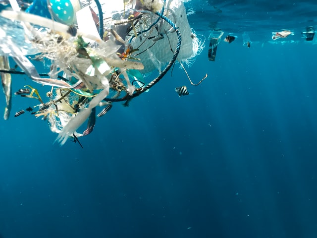 廢水中有機氨氮的來源和處理方法-廢水處理方法-樂中環保