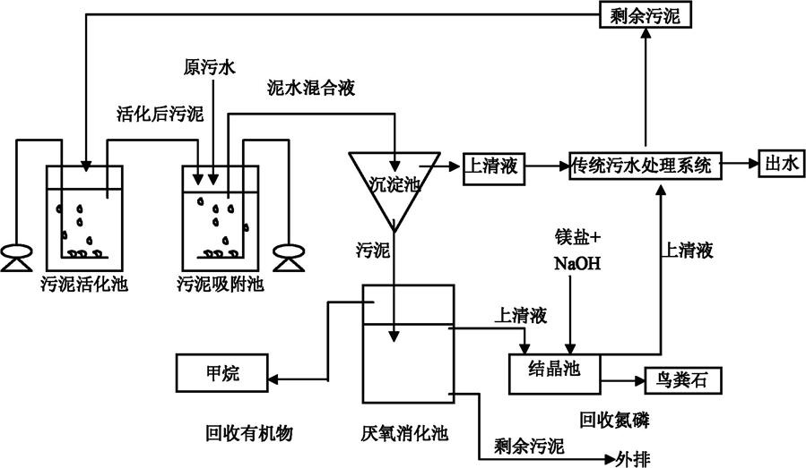 廢水排放的生物學指標